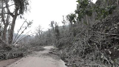Hilang Akibat Erupsi Gunung Semeru, 22 Orang Meninggal dan 27 Orang Dinyatakan Hilang