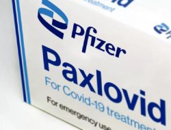America Serikat Mengizinkan Obat Covid-19 Paxlovid Untuk Digunakan